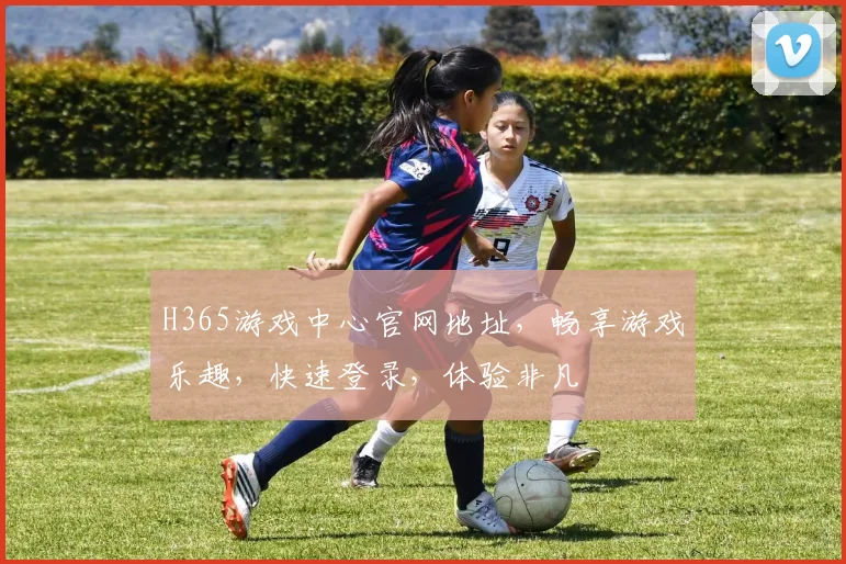 H365游戏中心官网地址，畅享游戏乐趣，快速登录，体验非凡