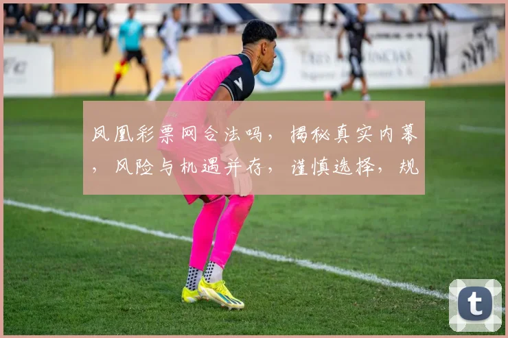 凤凰彩票网合法吗，揭秘真实内幕，风险与机遇并存，谨慎选择，规避风险