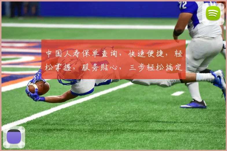 中国人寿保单查询，快速便捷，轻松掌握，服务贴心，三步轻松搞定，一查便知