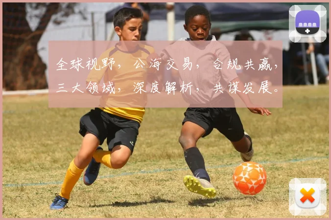 全球视野，公海交易，合规共赢，三大领域，深度解析，共谋发展。