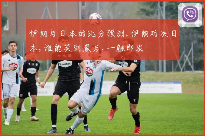 伊朗与日本的比分预测,伊朗对决日本,谁能笑到最后,一触即发