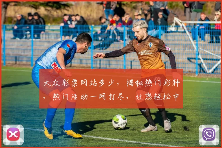 大众彩票网站多少，揭秘热门彩种，热门活动一网打尽，让您轻松中奖