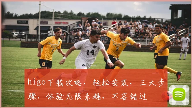higo下载攻略，轻松安装，三大步骤，体验无限乐趣，不容错过
