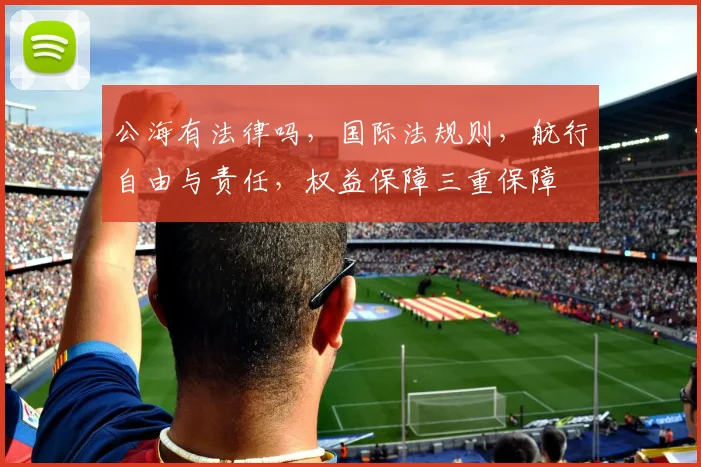 公海有法律吗，国际法规则，航行自由与责任，权益保障三重保障